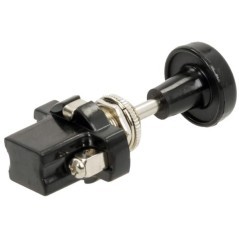 EL231210 Pneutron, Pull-out switches 