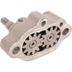 ED0043360230S Lombardini, Lubrication 
