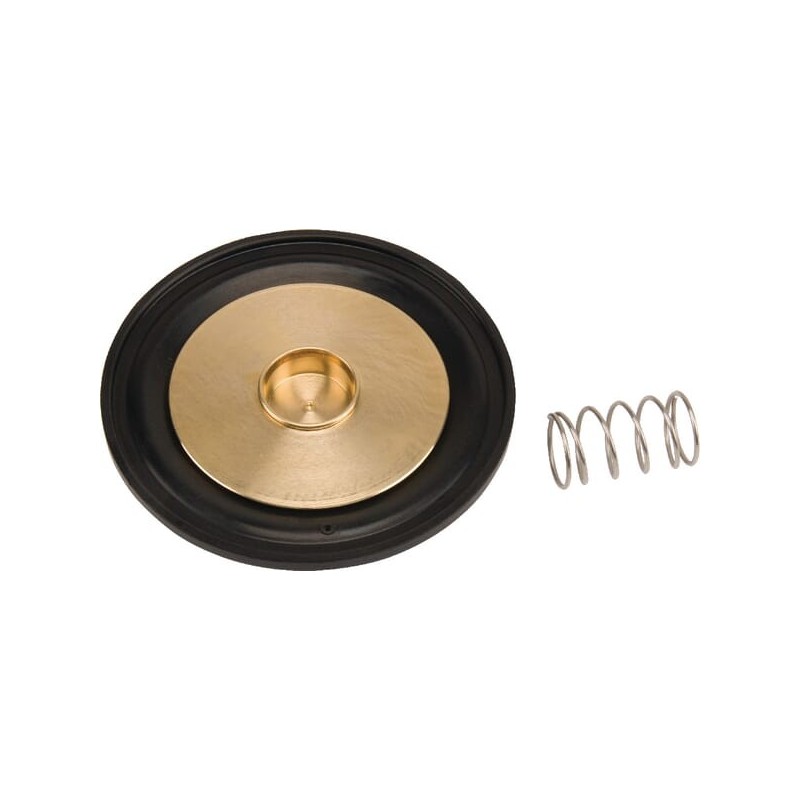Diaphragm set - ESPSV010 Diaphragm set - ESPSV010