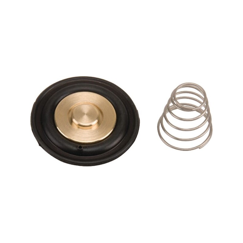 Diaphragm set - ESPSV001
