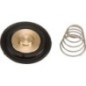 Diaphragm set - ESPSV001