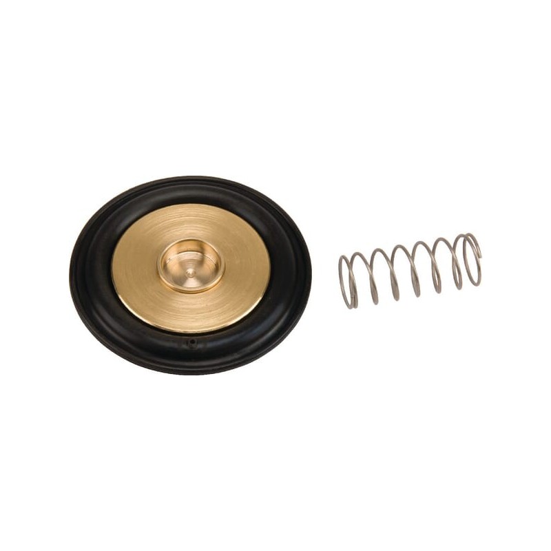 Diaphragm set - ESPSV004 Diaphragm set - ESPSV004