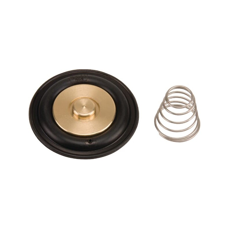 Diaphragm set - ESPSV007 Diaphragm set - ESPSV007