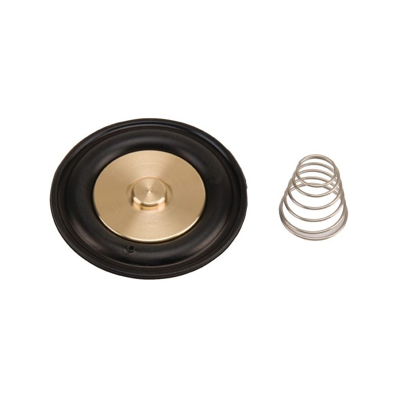 Diaphragm set - ESPSV008