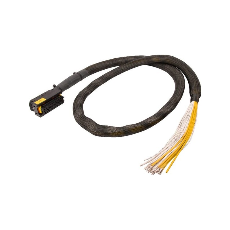 AMP plug 81-pole code A with cable - ESX34054