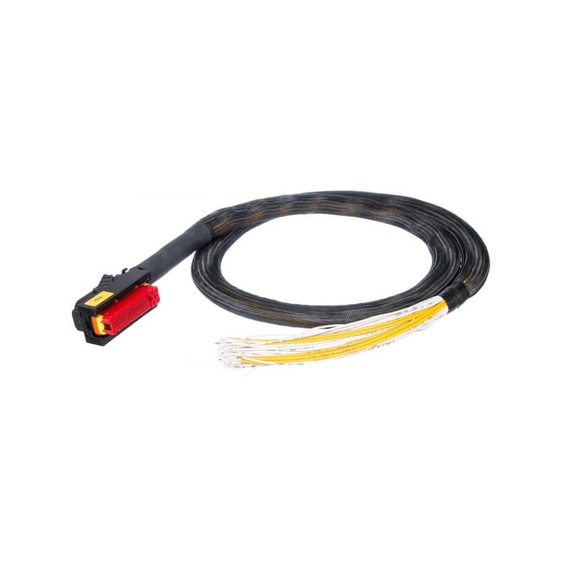 81-pol AMP, Code B mit Kabel - ESX34055