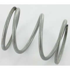 ET24651 Etesia, Springs 