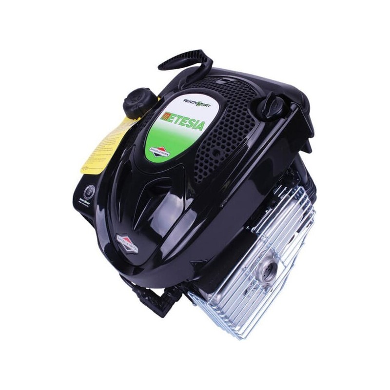 Engine, vertical, Etesia - ET30590
