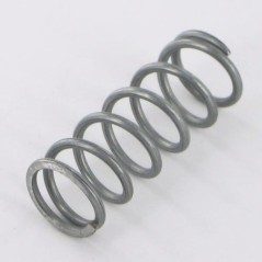 ET43036 Etesia, Springs 