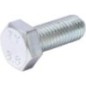Screw - F01020510R