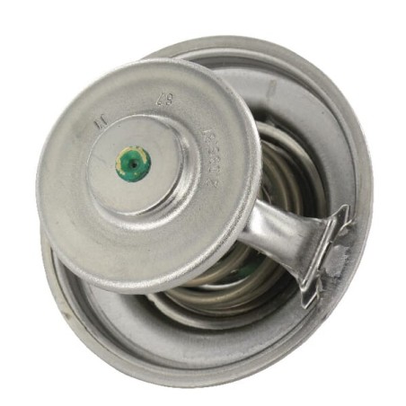 Thermostat - F119200050040
