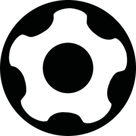Bit 1/4 inch Torx 20 - EXRP120