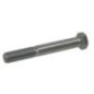Screw Briggs Stratton - ET71026 Screw Briggs Stratton - ET71026