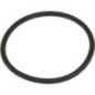 O-Ring - FEL127638