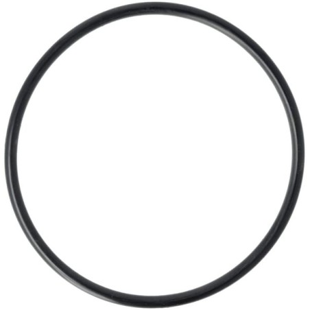 O-Ring 113,7x5,3 - F612294