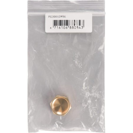 Hexagonal brass cap F 1/2 inch - FG30012MSL