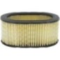 Luftfilter oval - FGP011791 Luftfilter oval - FGP011791