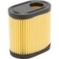 Air filter Tecumseh - FGP014131 Air filter Tecumseh - FGP014131