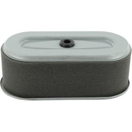 Oval air filter - FGP456827