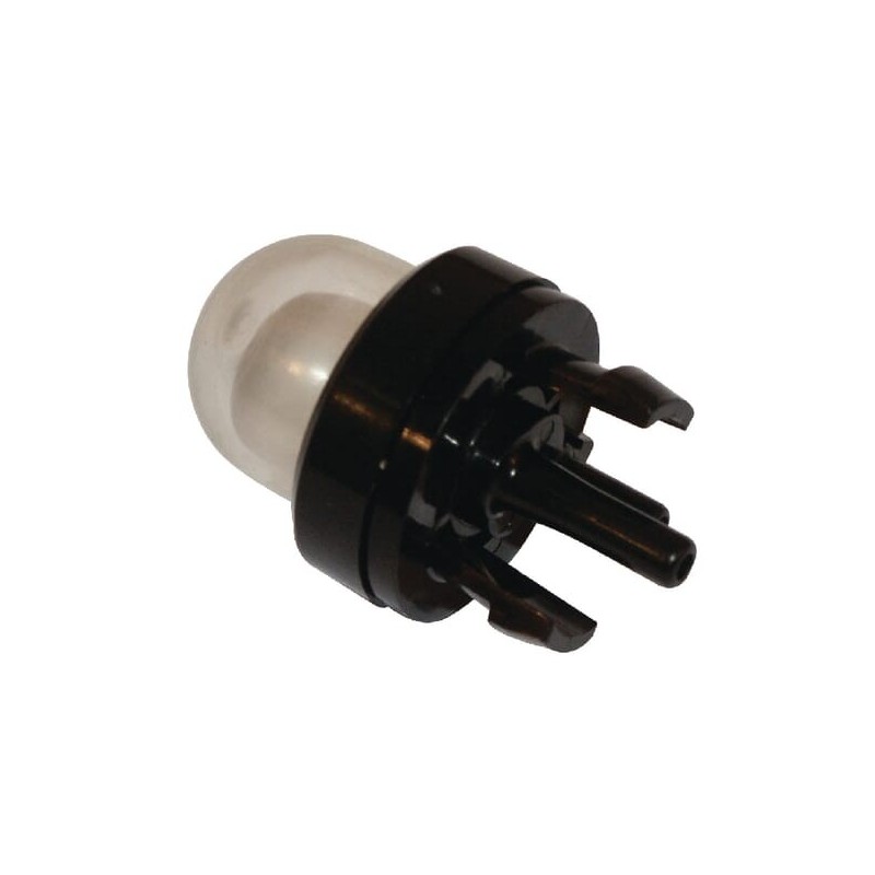 Primer - FGP456338 Primer - FGP456338