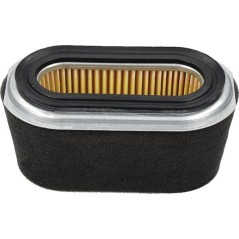 Oval air filter - FGP455876