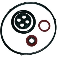 Gaskets – produkty dostępne w rolniczeczesci.pl
