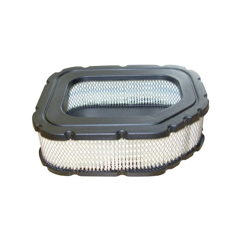Oval air filter - FGP456817
