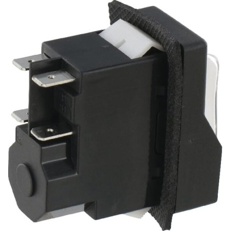 Chain grinder 230V switch - FGP015667
