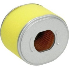 Oval air filter - FGP453684