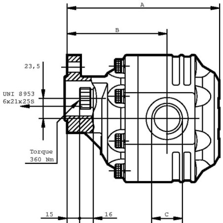 Pump FP30.73D0-19T1-LGF/GF-N - FP3073D