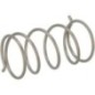 Pressure spring - G00001091