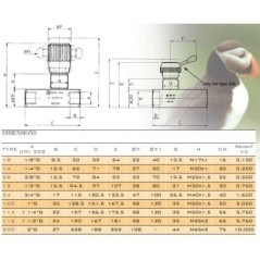 Throttle check valve - FT257538