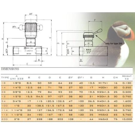 Throttle check valve - FT257538