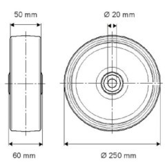 Wheel 250 mm - FTP2500502060