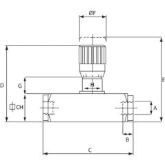 FT27010001 Tognella, Tognella 