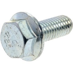 Hexag, screw - G00009108