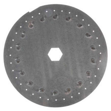 Scheibe - G10121420R