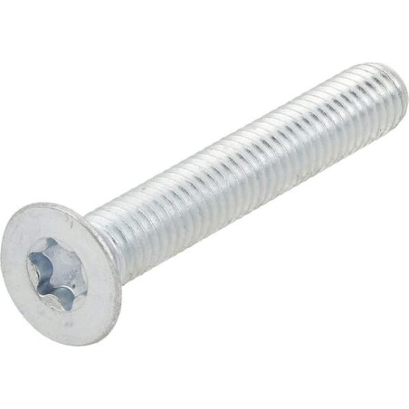 Screw, Torx, countersunk - G00009163