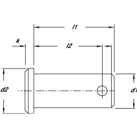 Trzpień do gł.wideł. 8x22 RVS - GAP8CR