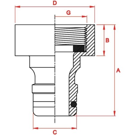 Female coupling profI 1 inch - GA2802
