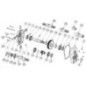 Gearbox 1 2 - GBF30ST620 Gearbox 1 2 - GBF30ST620