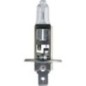 Żarówka H1 Vision 12V - GL12258PRB1 Żarówka H1 Vision 12V - GL12258PRB1