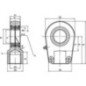 Rod end - GIHRK25DO