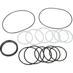 Seal kit for GRS10 - GRS910AFD