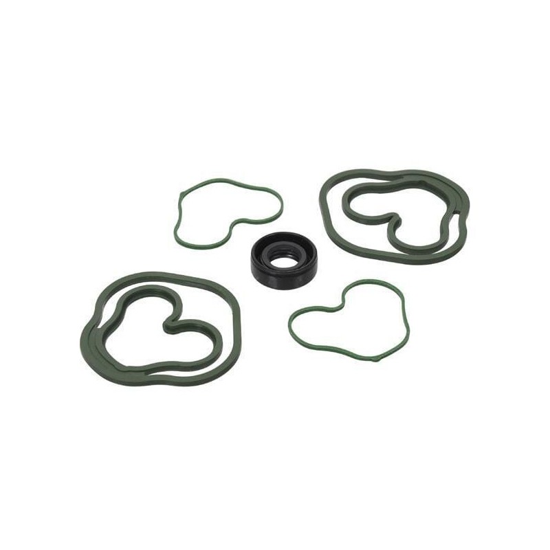 Abdichtungssatz GP 10 C18E - GP910C18E Abdichtungssatz GP 10 C18E - GP910C18E