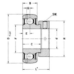 Spannlager - GRAE25NPPBFA106