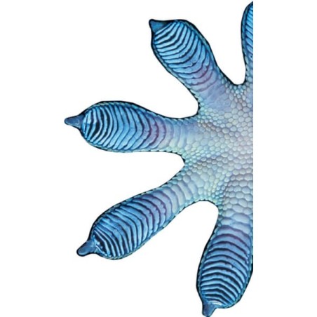 Anti-Rutsch-Matte - GWE1500H13