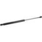 Gas Spring - H205810040030 Gas Spring - H205810040030