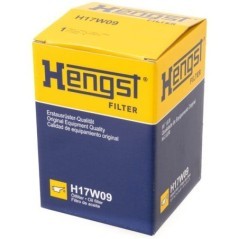 H17W09 Hengst, Hengst 