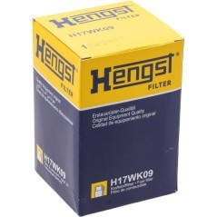 H17WK09 Hengst, Hengst 